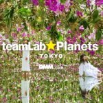 teamLab Planets