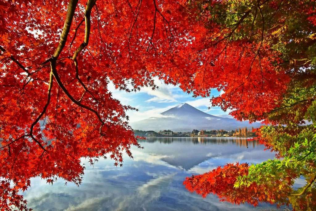 The 25th Fujikawaguchiko Autumn Leaves Festival in 2023 (October 28 to