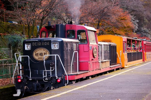 torokko-train-red-leaves