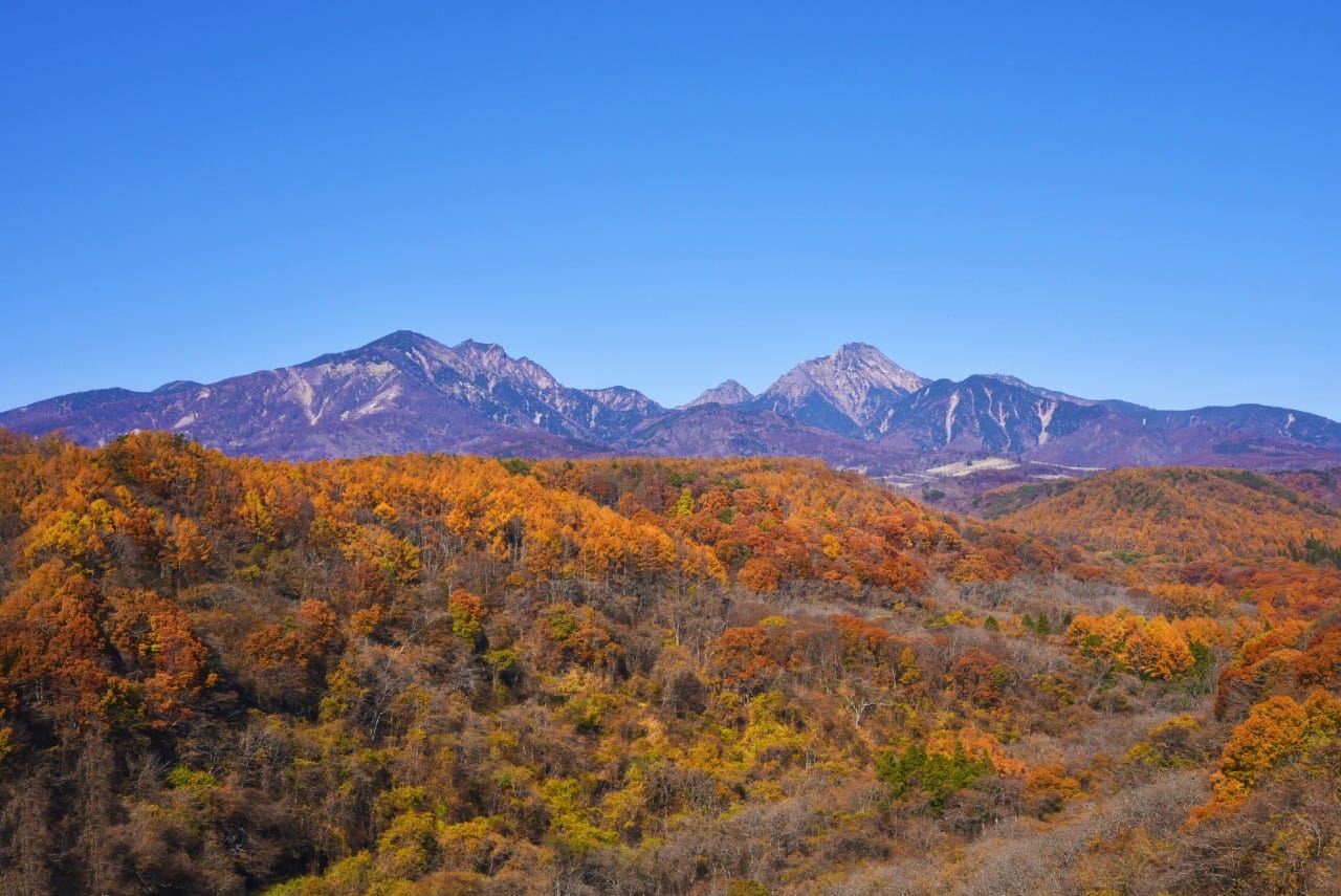 autumn leaves in Japan for 2024